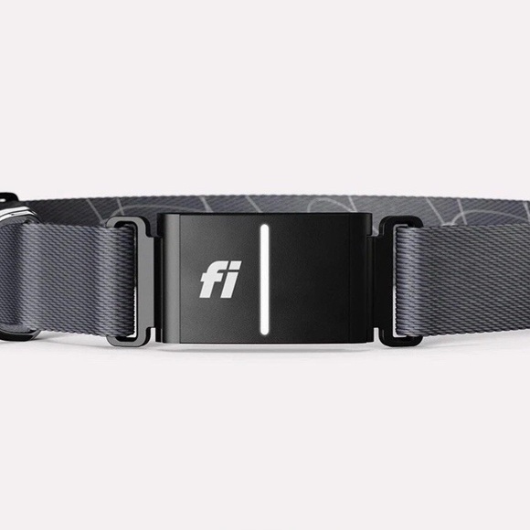 Fi Series 3 GPS Tracking Dog Collar Large - Picture 1 of 4